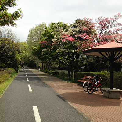 TAMAKO-LAKE CYCLING ROAD, 20-km long beautiful lane specially maintained for cycling.
